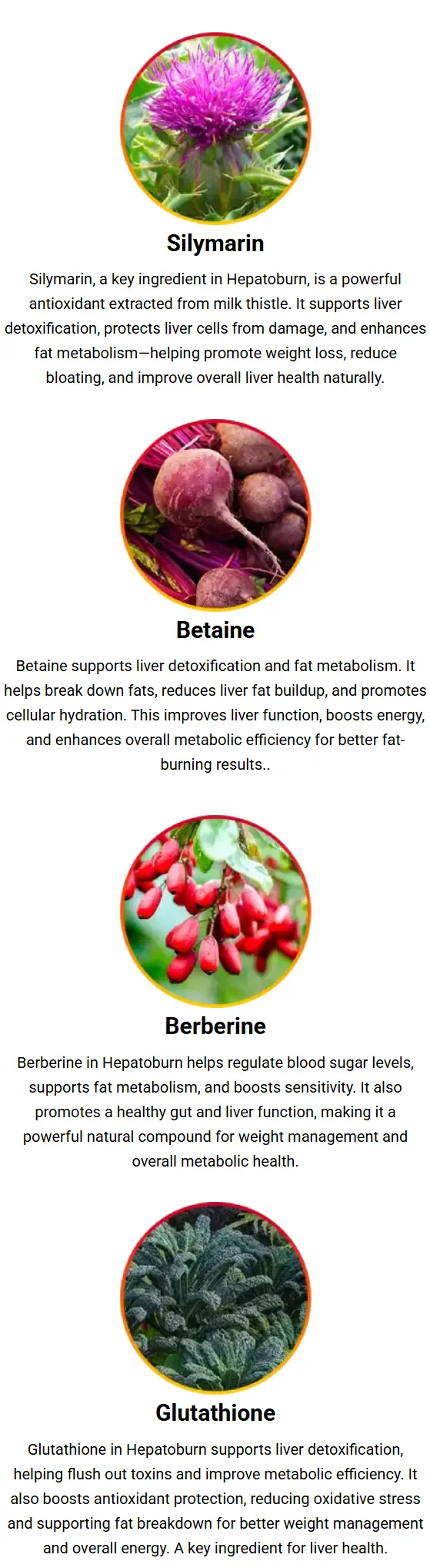 hepatoburn-review